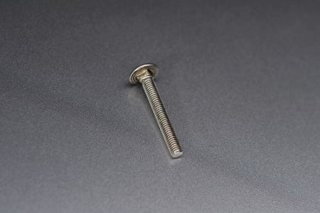 replacement-s-s-carriage-bolt-for-mounts-set-of-2-sumo140